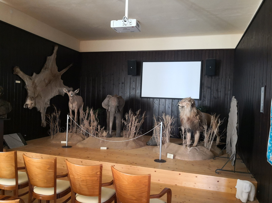 African Museum by Dr. Emil Holub-Holice必去景点