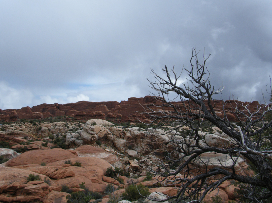 拱门国家公园-莫阿布必去景点