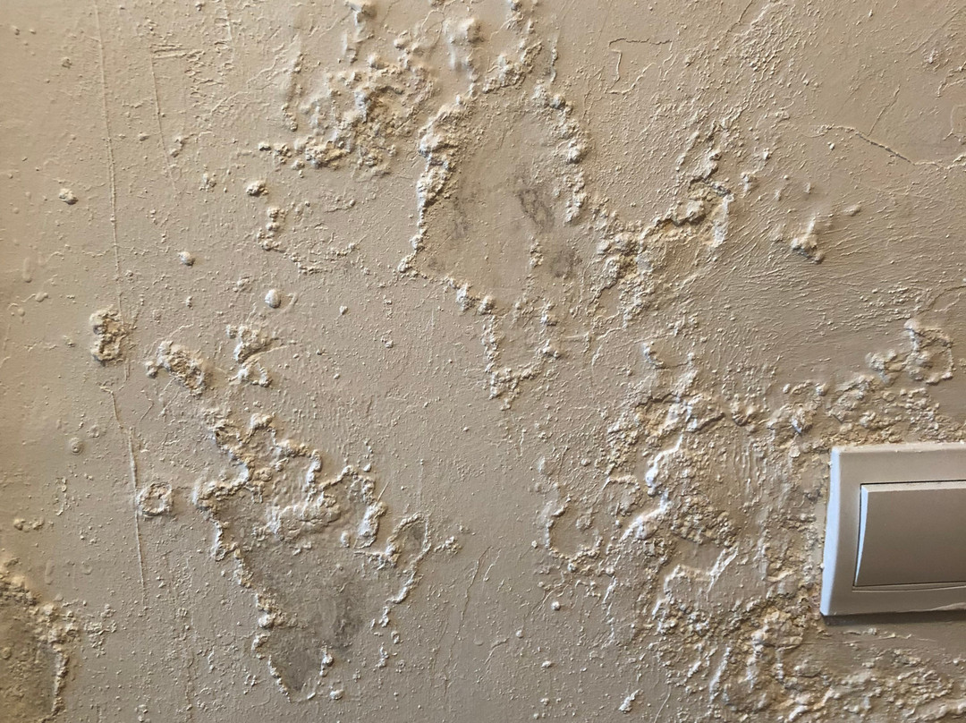 Guest House Cuk主图