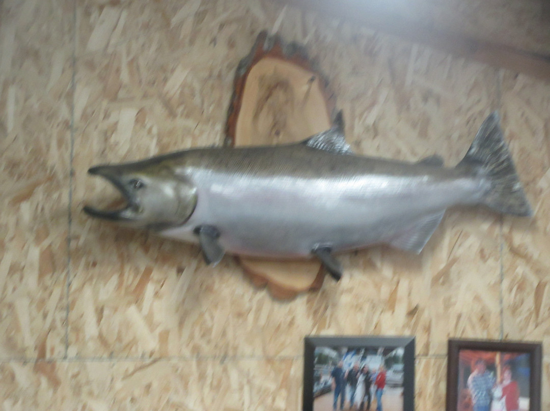 Knudson Cove Marina-凯奇坎必去景点