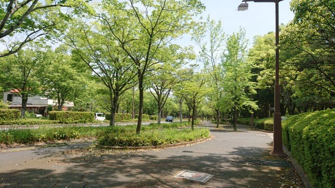 Kameyama Park景点图片