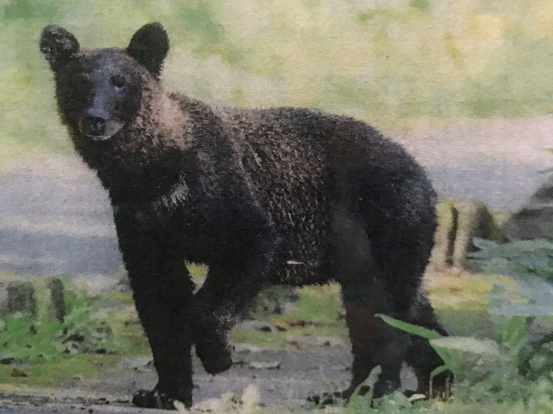 波罗多湖-白老町必去景点