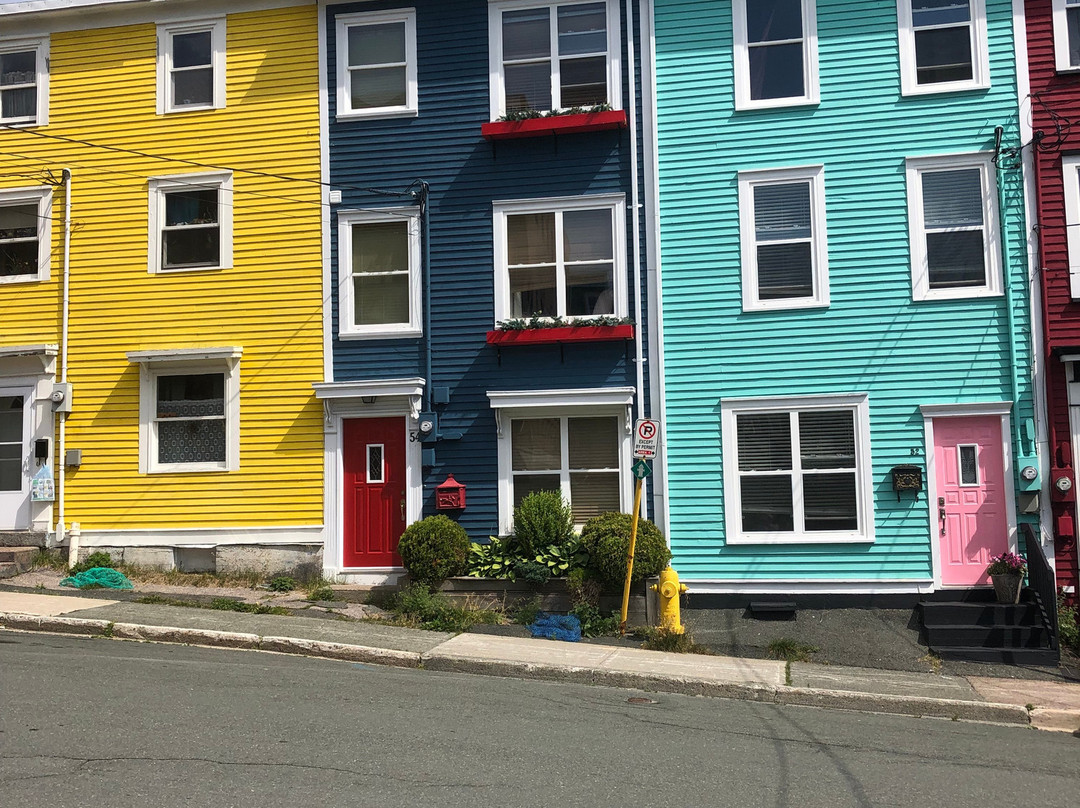 Jellybean Row Houses景点图片