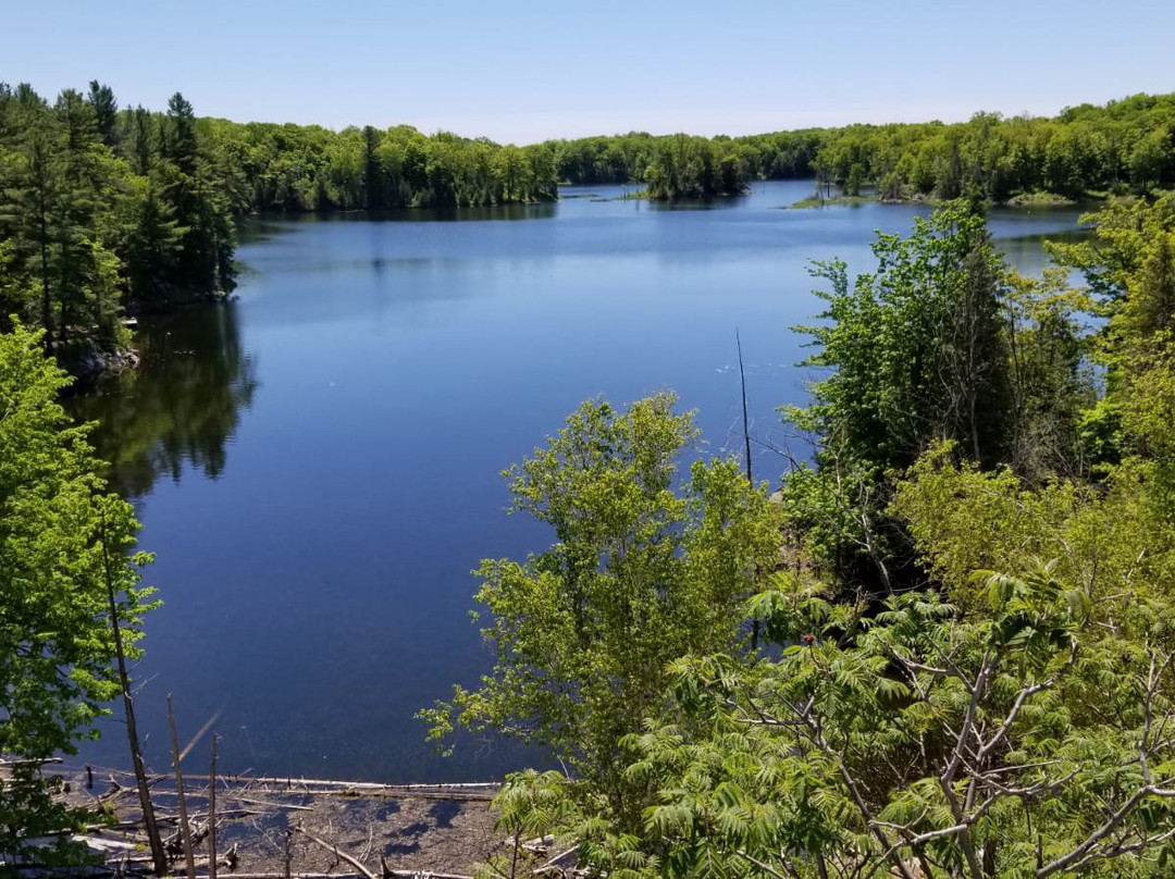 Sharbot Lake Provincial Park景点图片