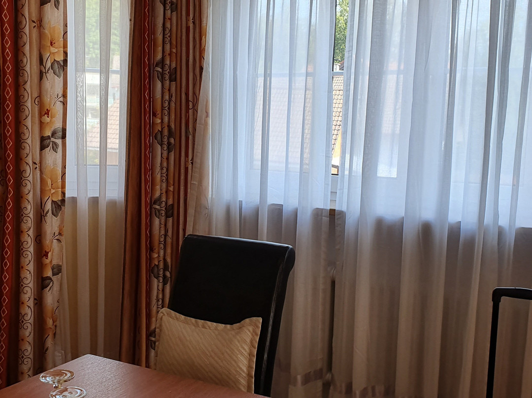 拜德法勒巴赫酒店主图