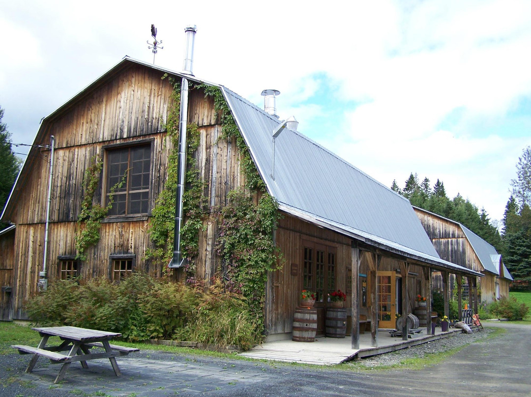 Packington旅游景点-Domaine Acer