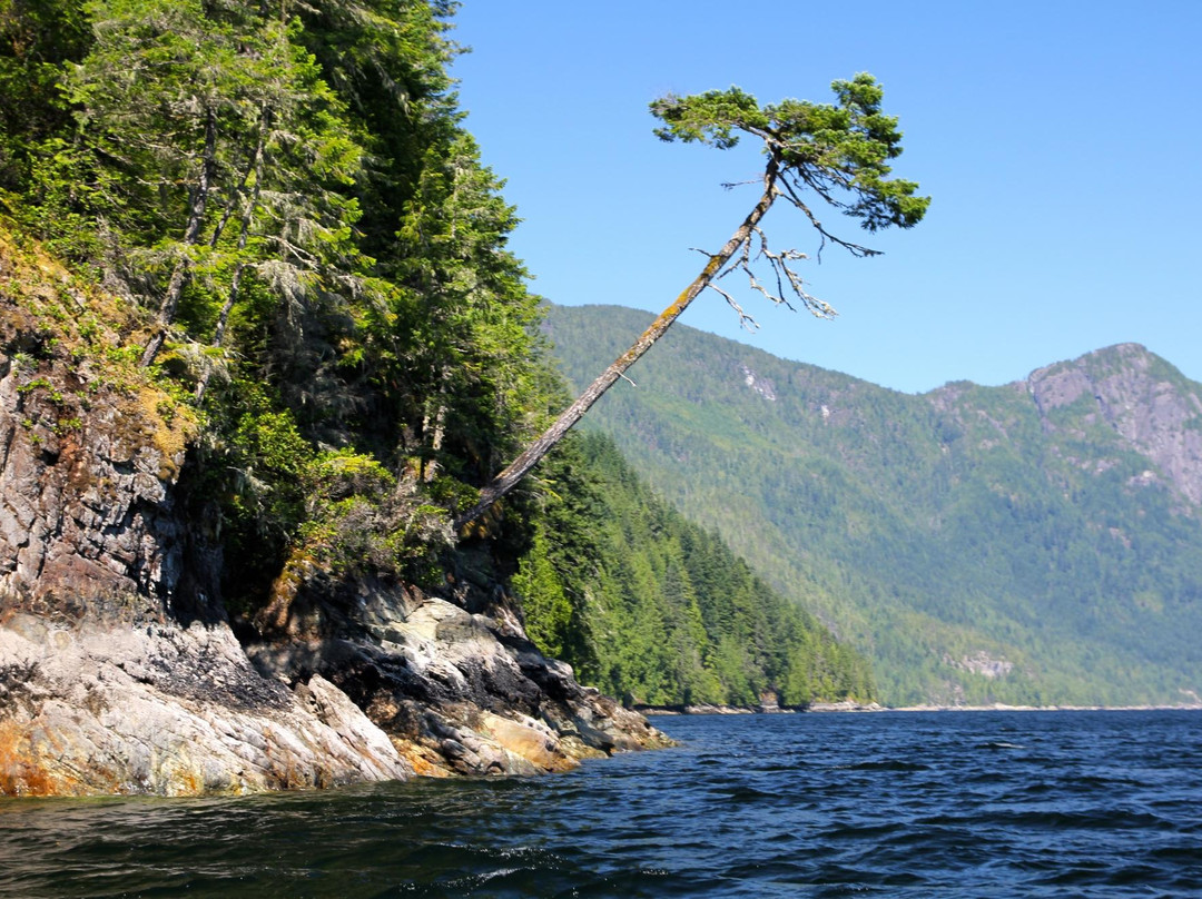 Sunshine Coast Tours