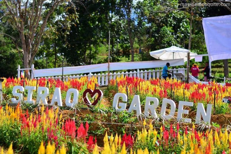 JY Square Mall-宿雾必去景点