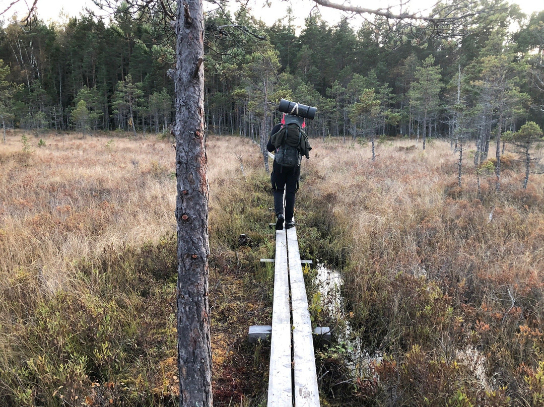 Naturreservatet Florarna-Oesterbybruk必去景点