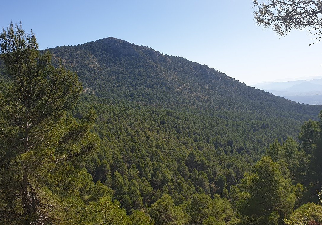Paraje el Navazo de Abajo-Caravaca de la Cruz必去景点