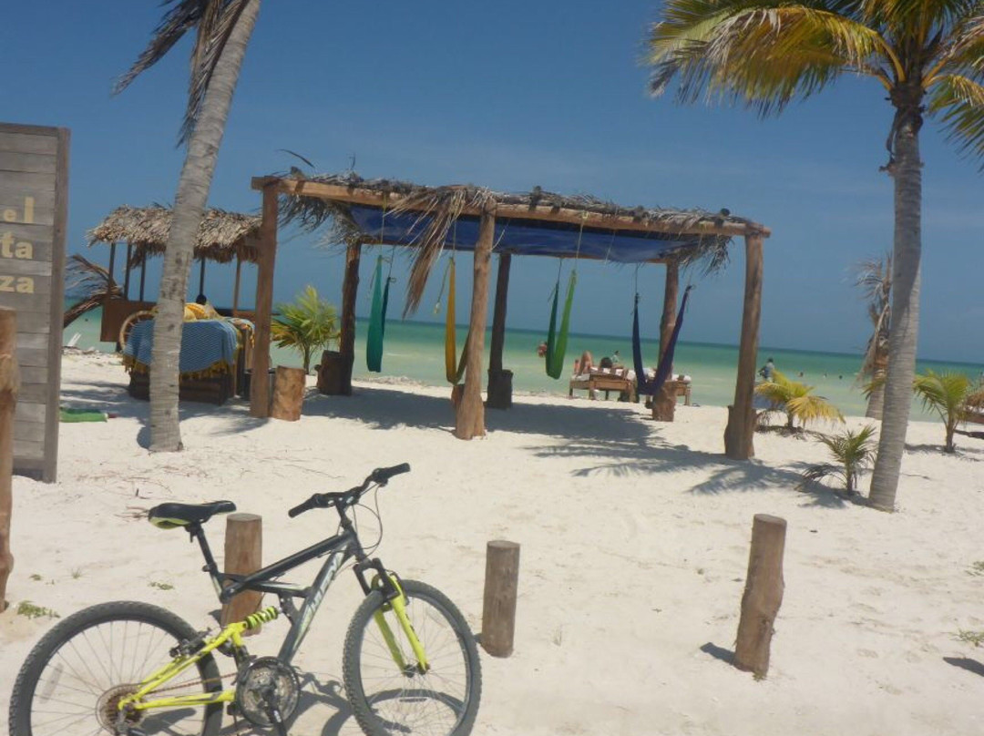 Holbox Island景点图片