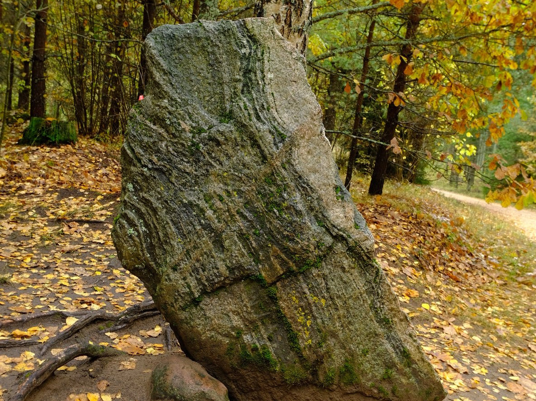 Pokaiņi Forest-Dobele必去景点
