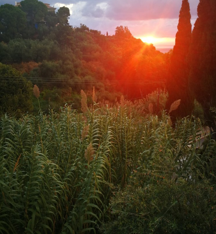 Chris & Jo Villas主图