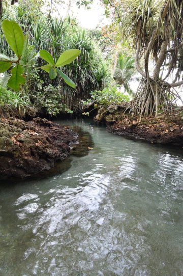 Piscina Natural on the Sea-浴室
