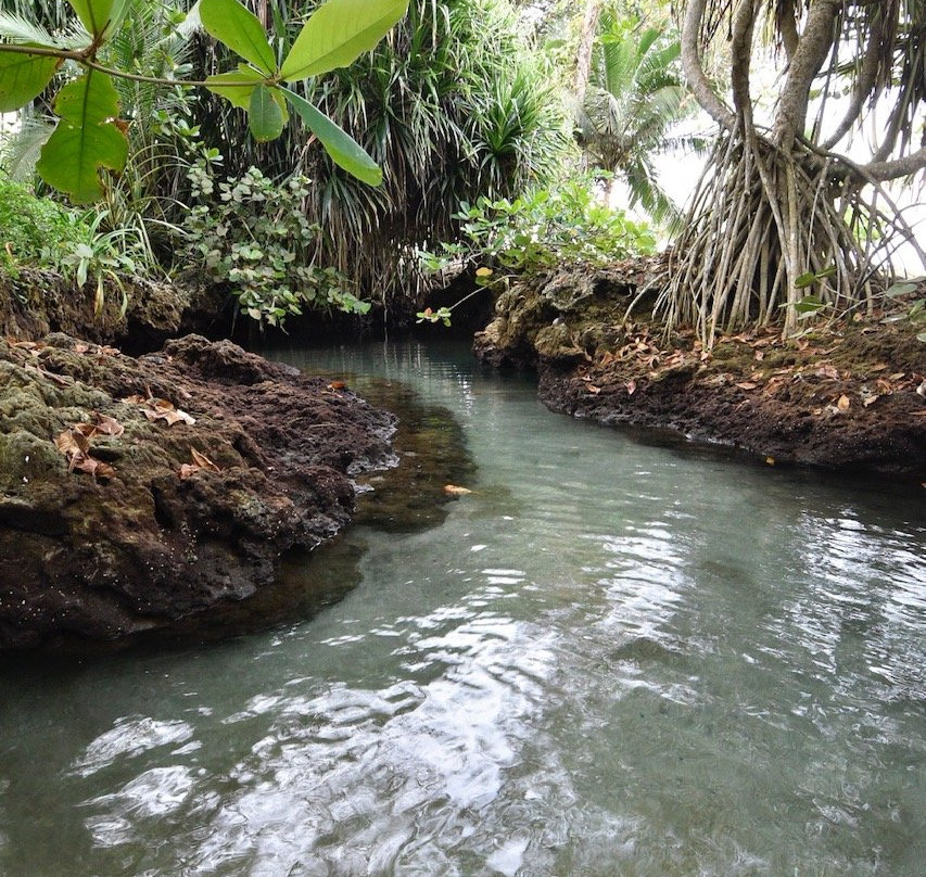 Piscina Natural on the Sea主图