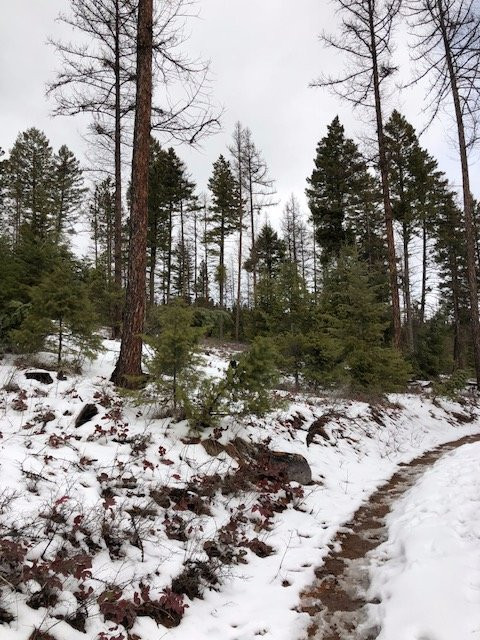 卡利斯佩尔旅游景点-Herron Park