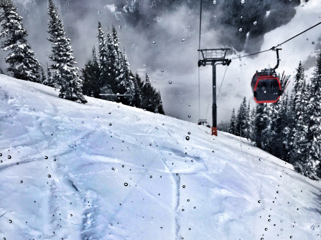 Crystal Mountain Scenic Gondola Ride景点图片