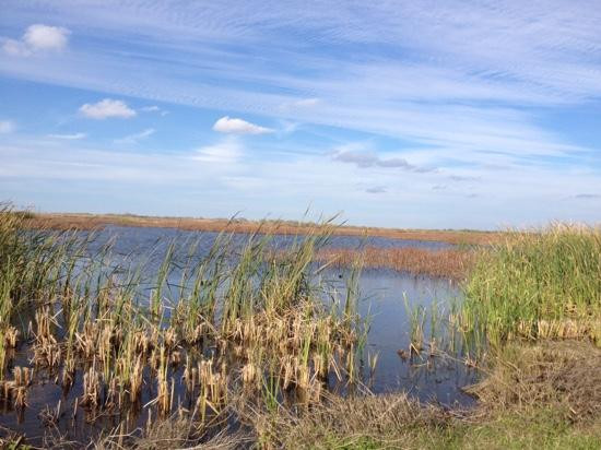 Brazoria National Wildlife Refuge-Freeport必去景点