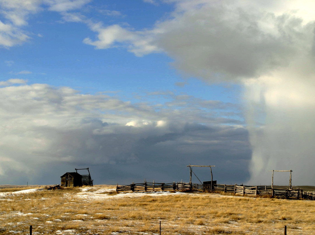 Art Expressions-卡斯特必去景点