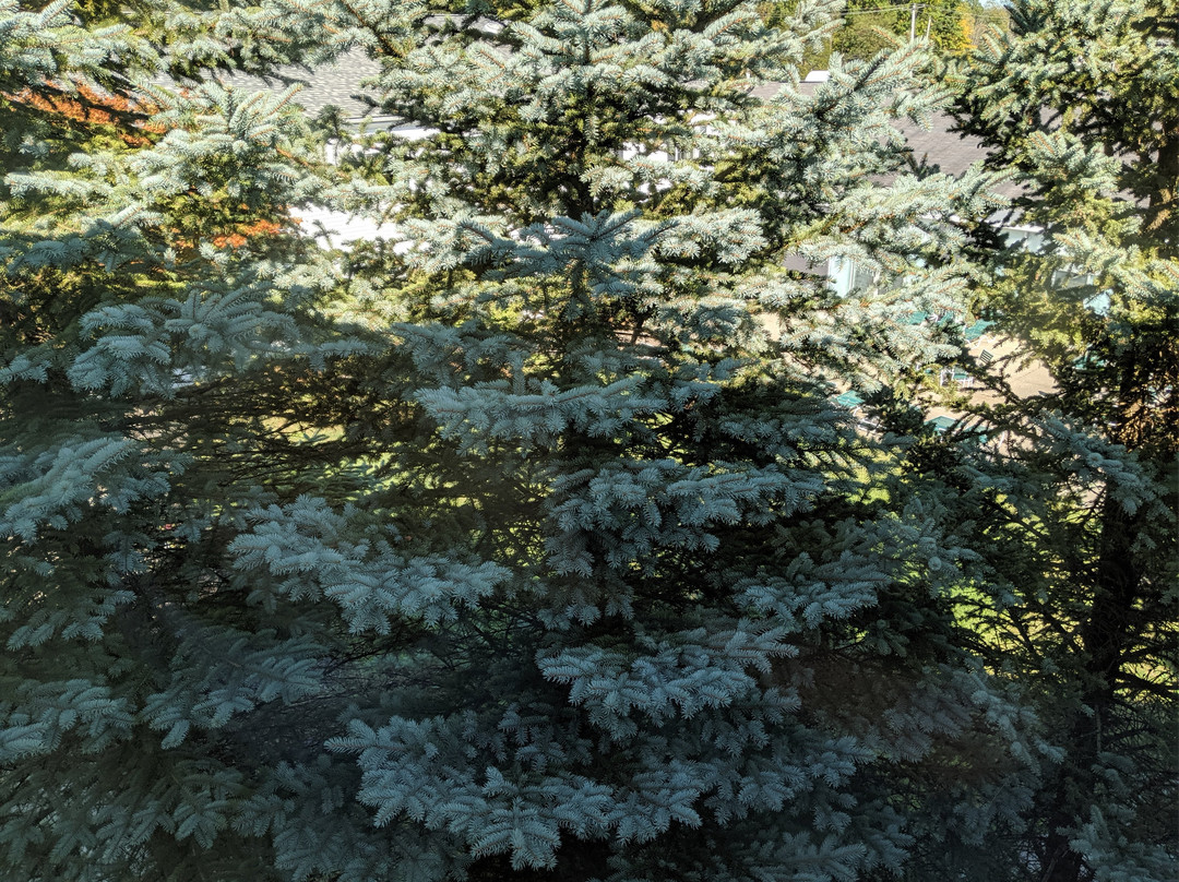 Aurora Inn Hotel & Event Center主图