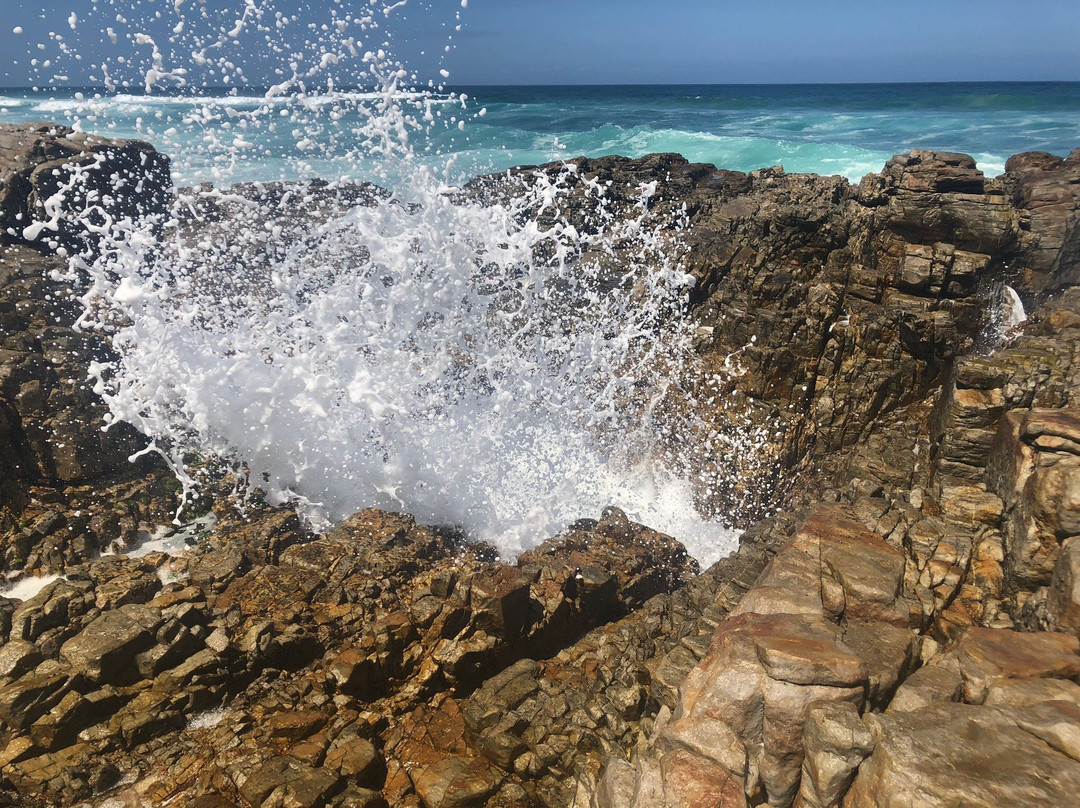 Blow Hole Hike景点图片