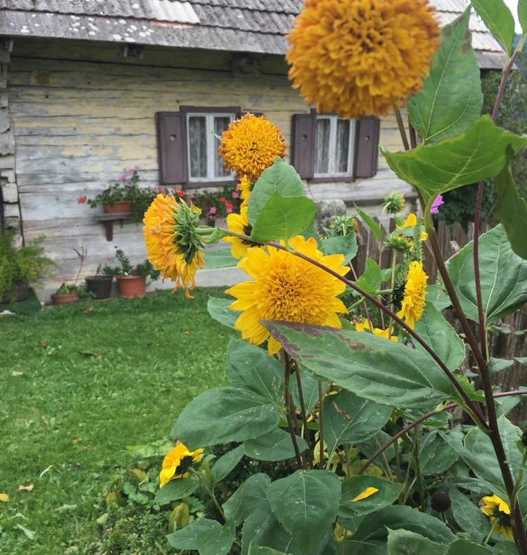 Pohorje Tours-Pohorje必去景点