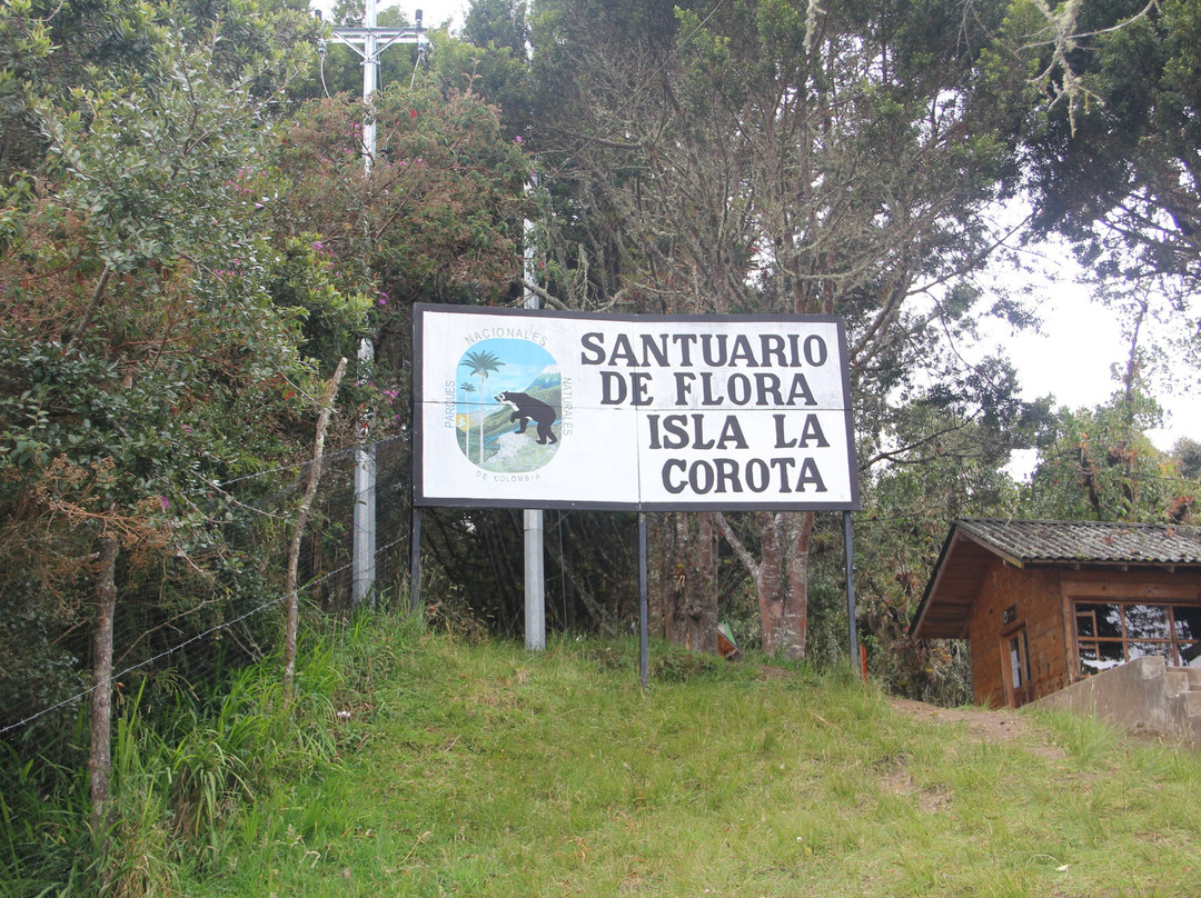 Laguna de la Cocha景点图片