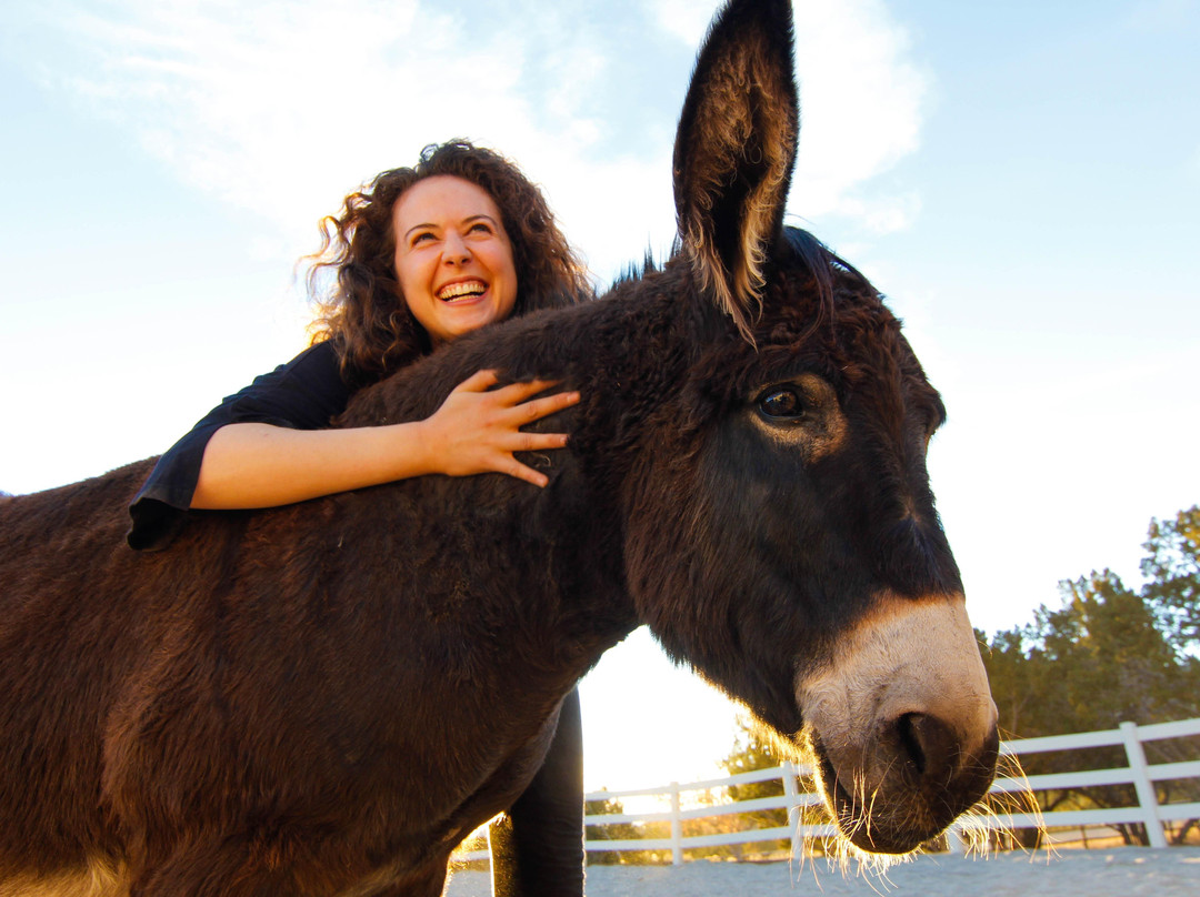 Bridgit Wald-博尔德必去景点