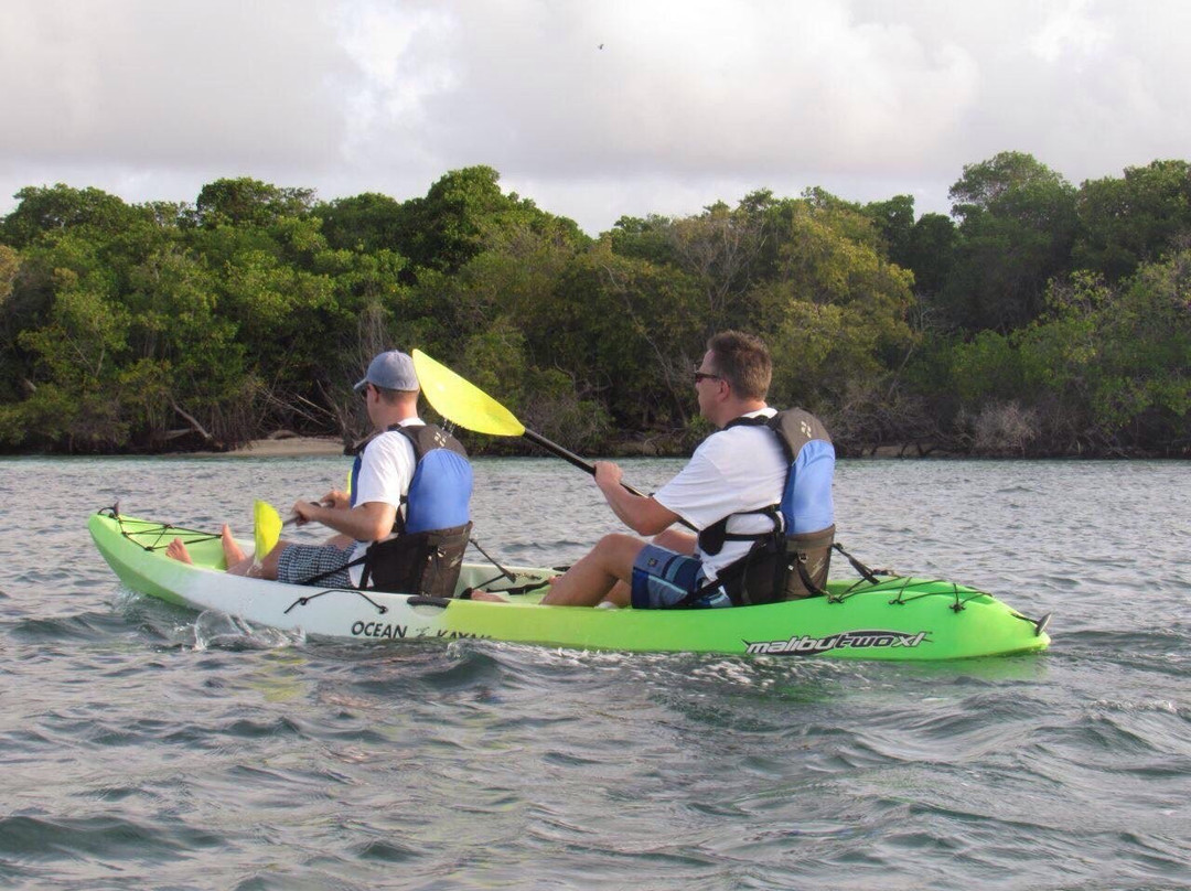 The Shack Kayak Tours景点图片