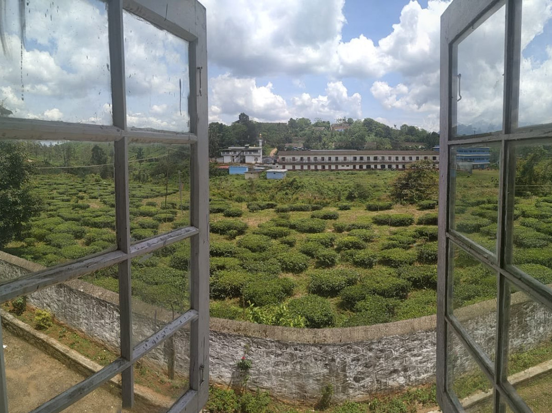 Wayanad Tea Museum-Achooranam必去景点