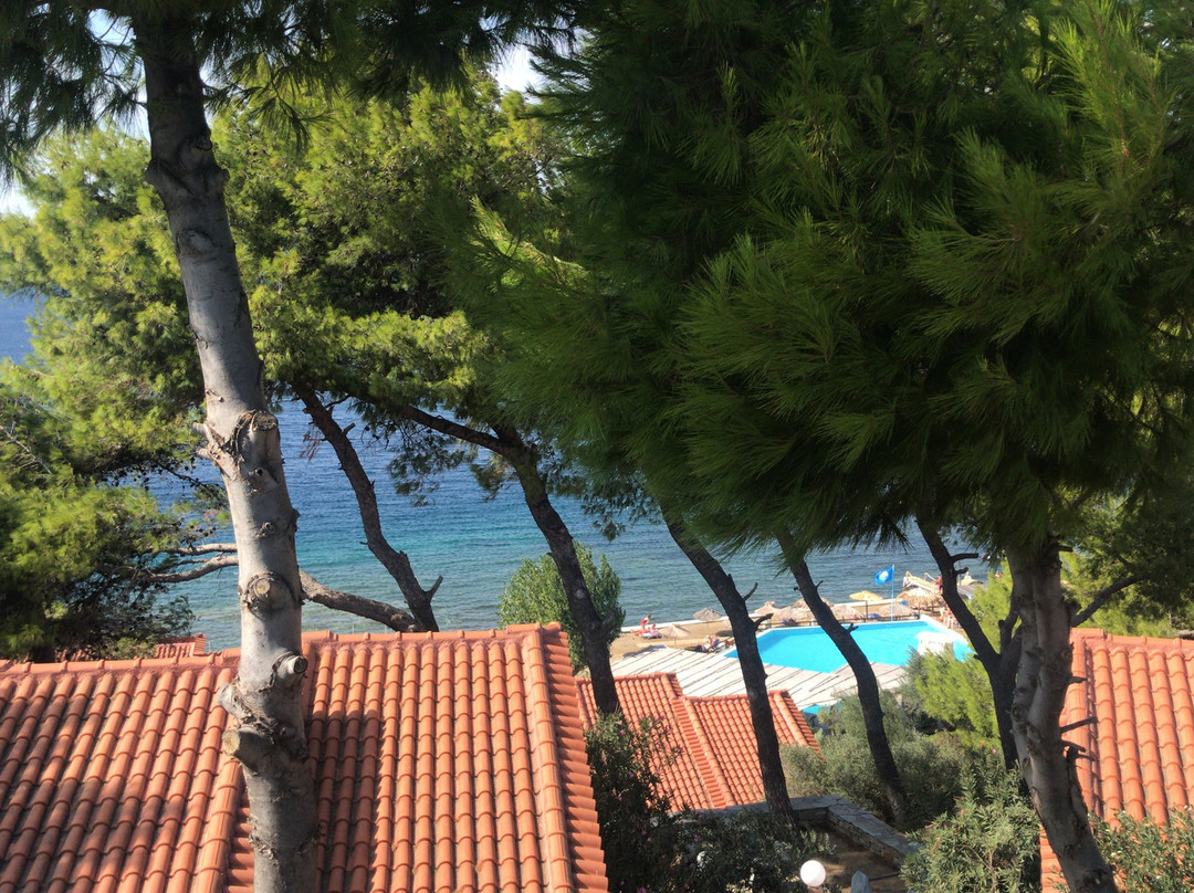 Venus Beach Hotel主图