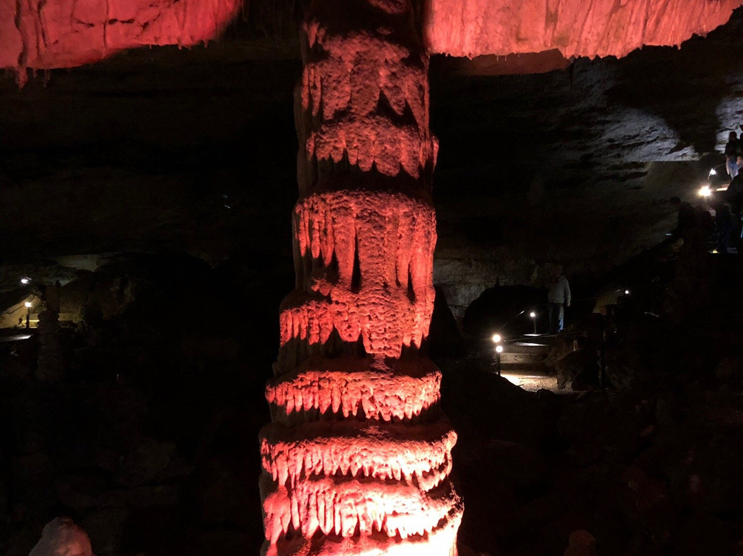 Les Grottes de Réclère景点图片