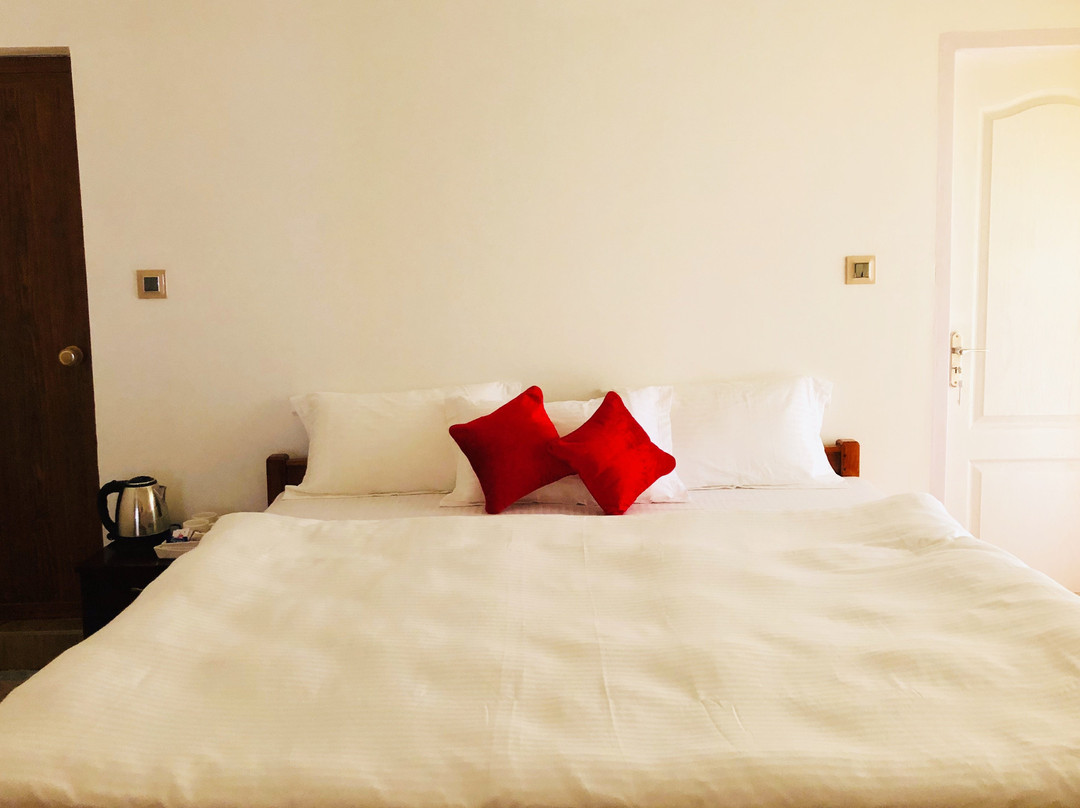 Zen Kochi Boutique Home主图