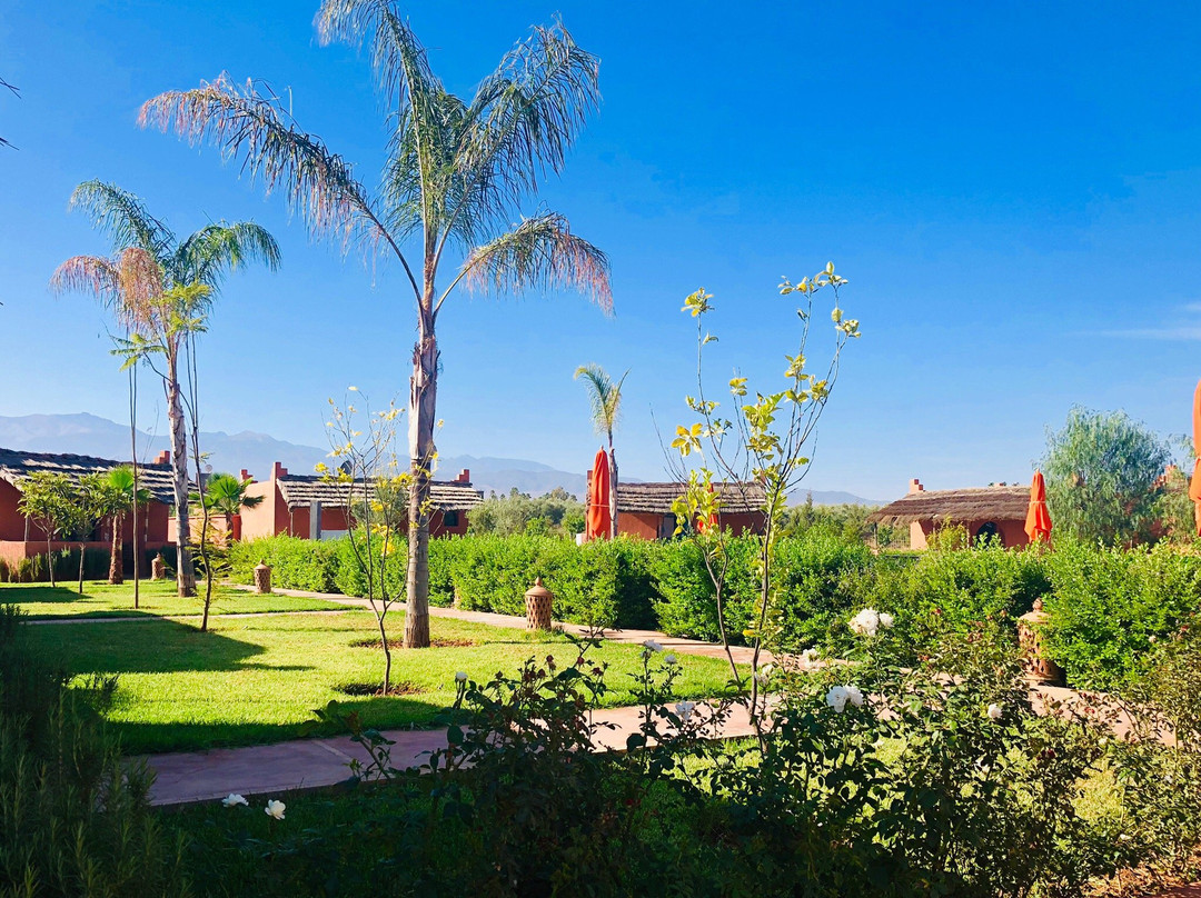 Les Orangers De L'Ourika主图