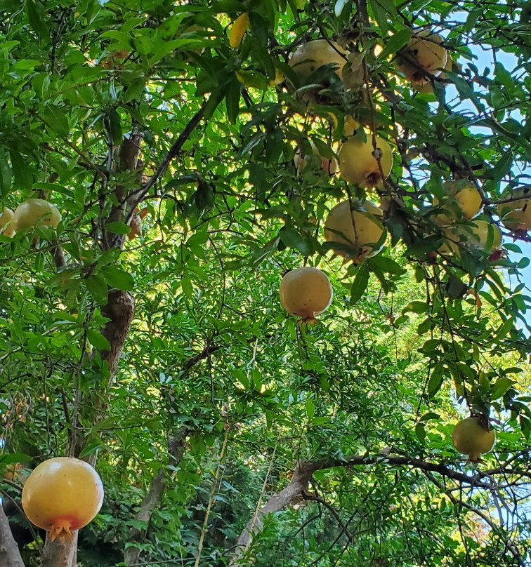 Pantheon Hotel主图