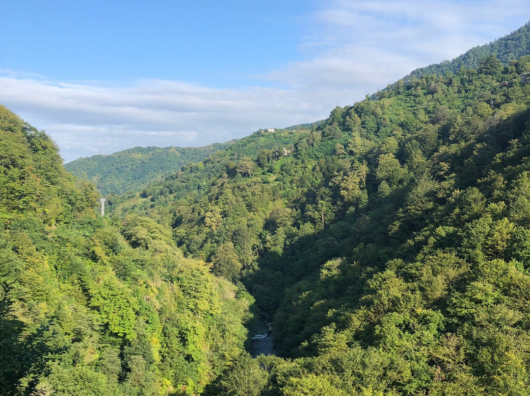 National Park Kintrishi-Kobuleti必去景点