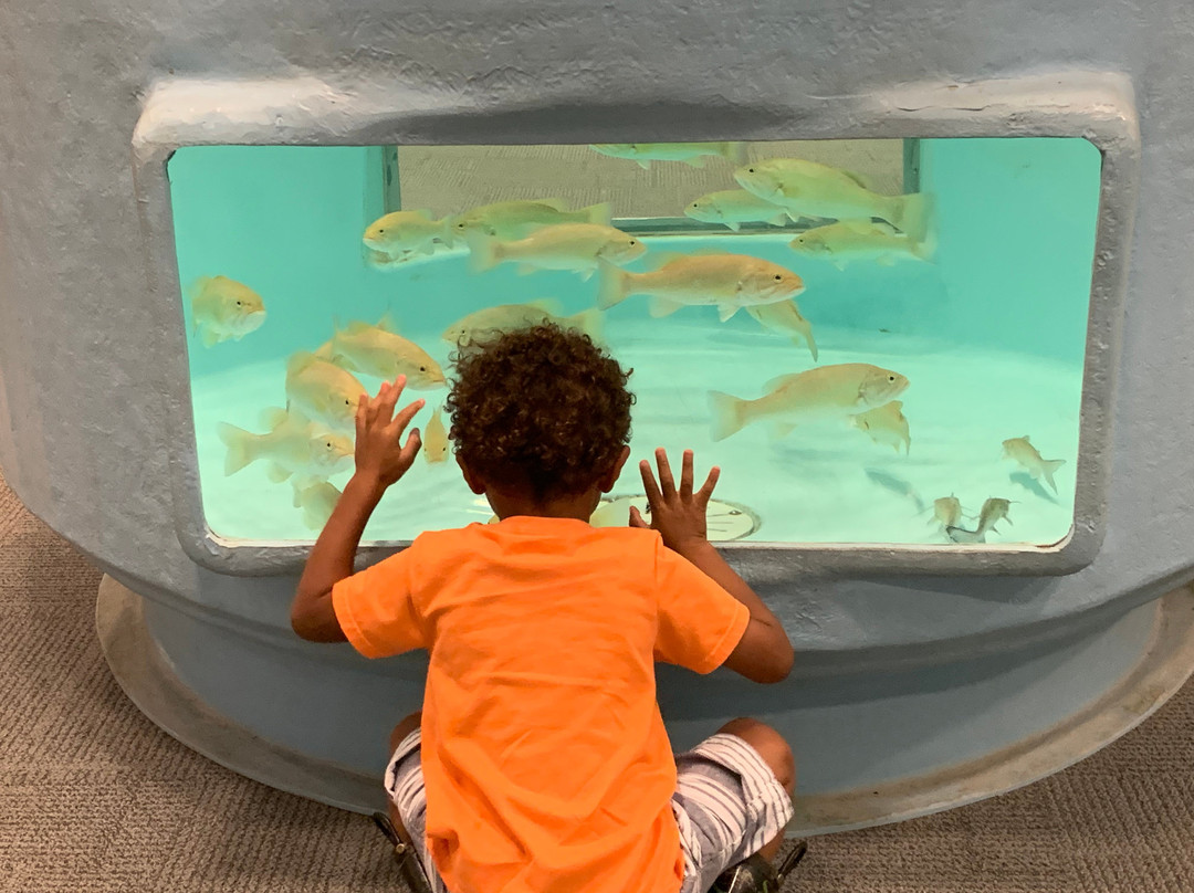 Go Fish Education Center-Perry必去景点