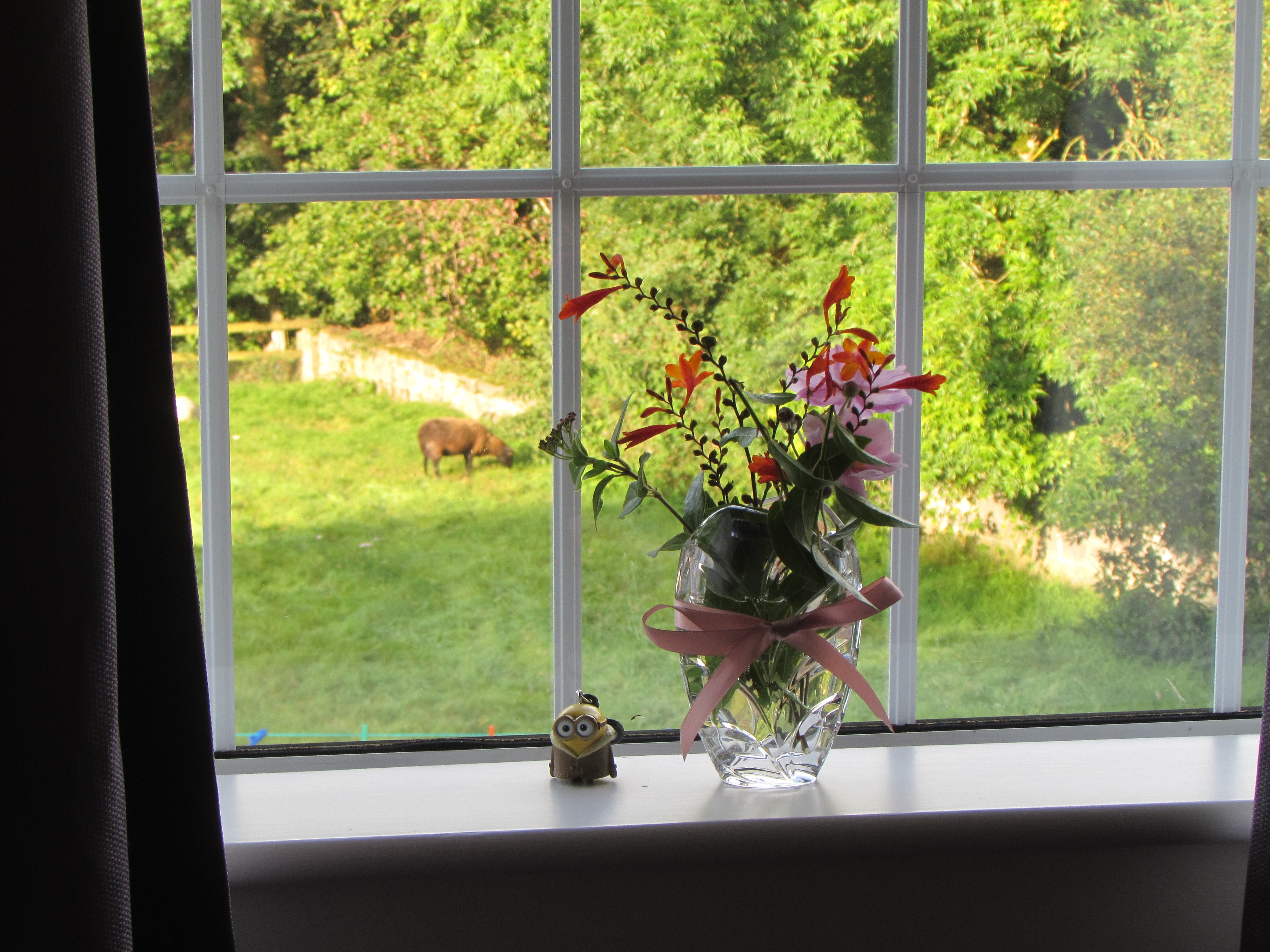 Orchard Grove Bed & Breakfast-酒店景观