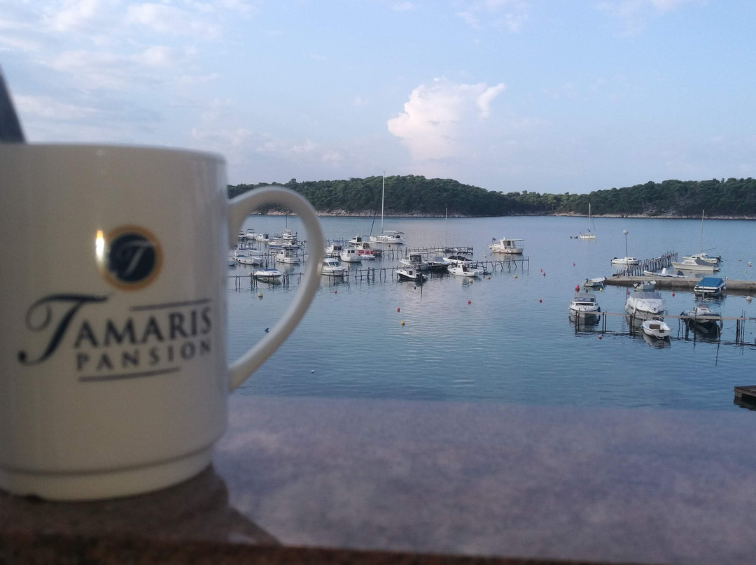 Pansion Tamaris主图