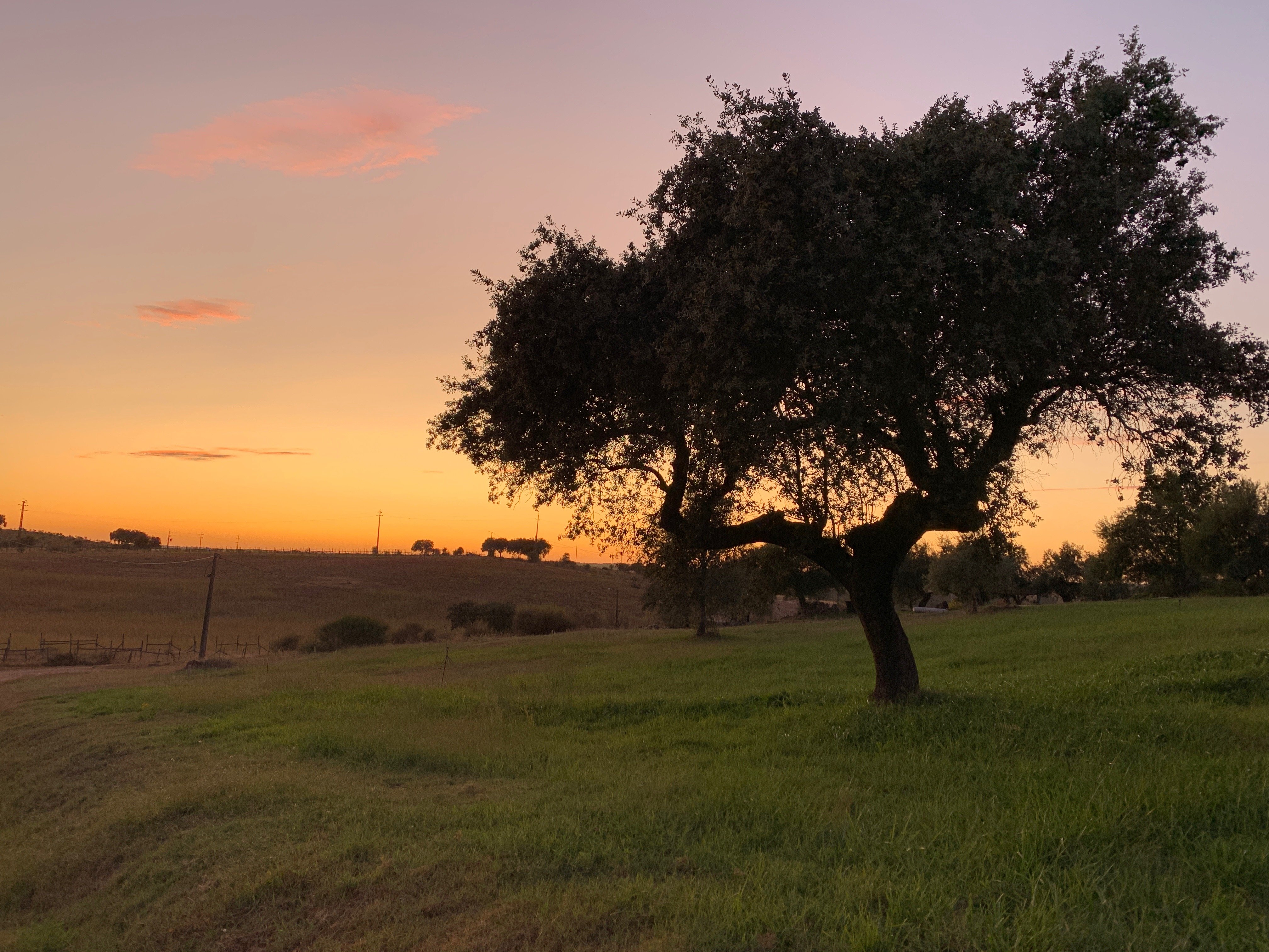 Herdade da Cortesia-浴室