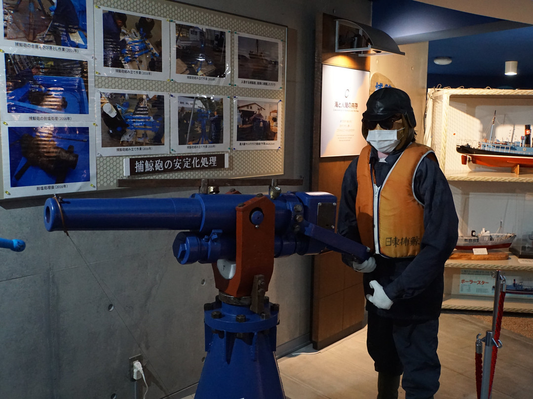 Whales and Science of the Sea Museum-山田町必去景点