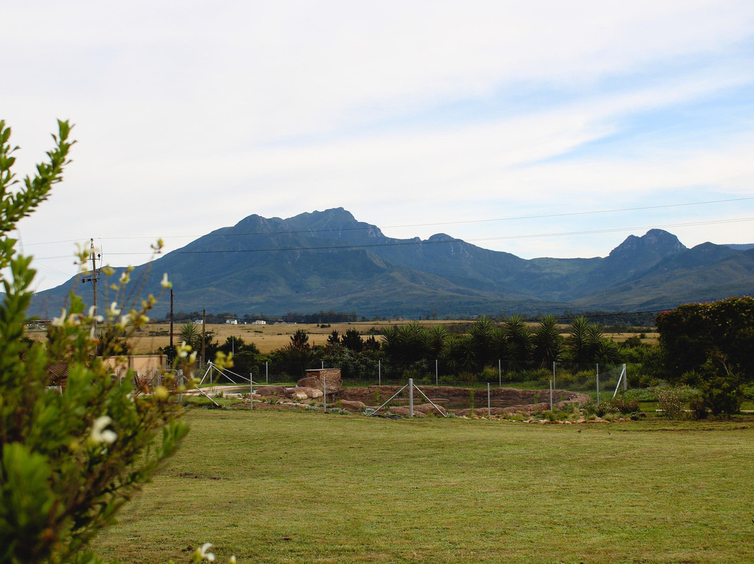 Inn Victori Guesthouse主图