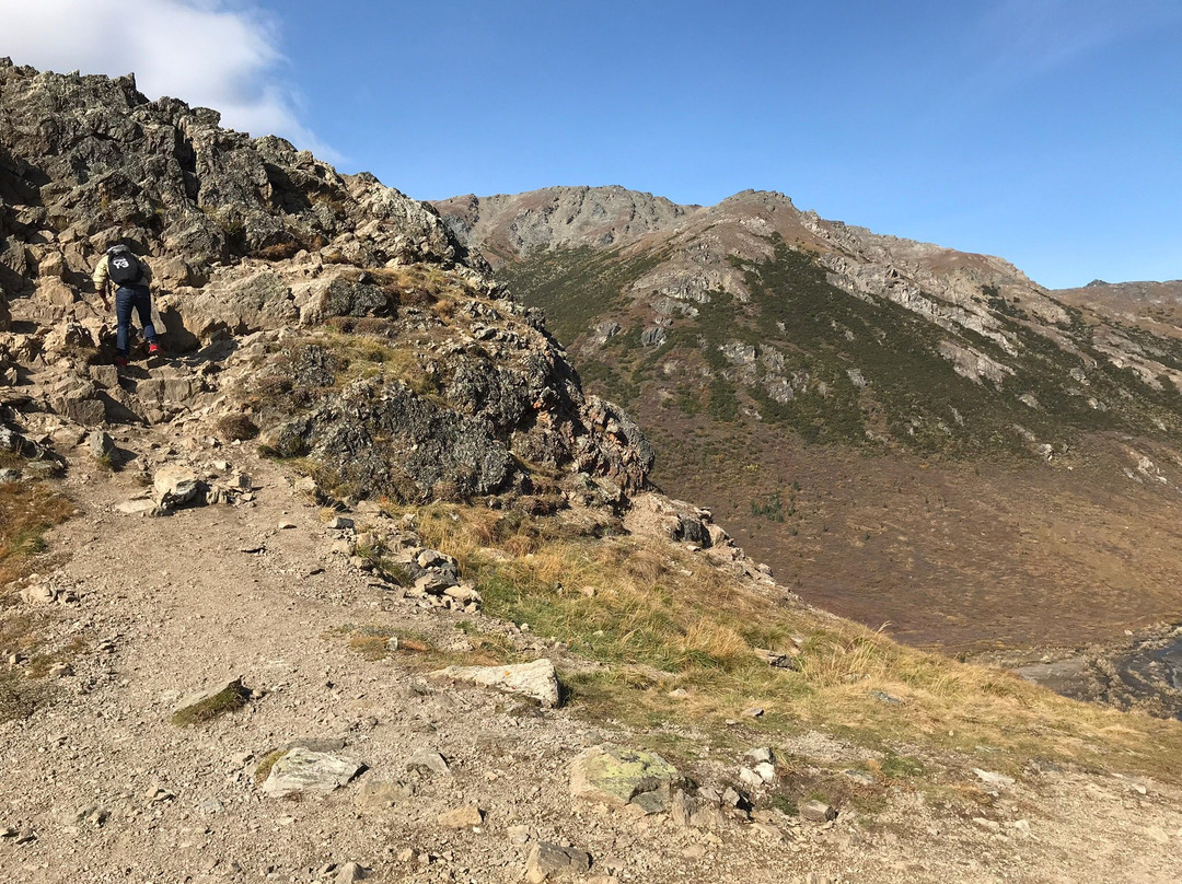 Savage Alpine Trail-德纳利国家公园和自然保护区必去景点