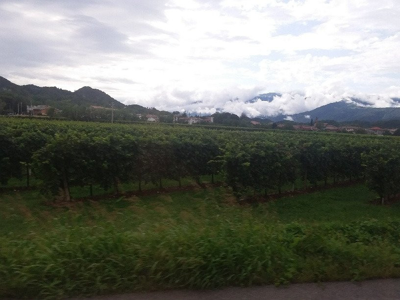 Anello del Prosecco Superiore-Valdobbiadene必去景点