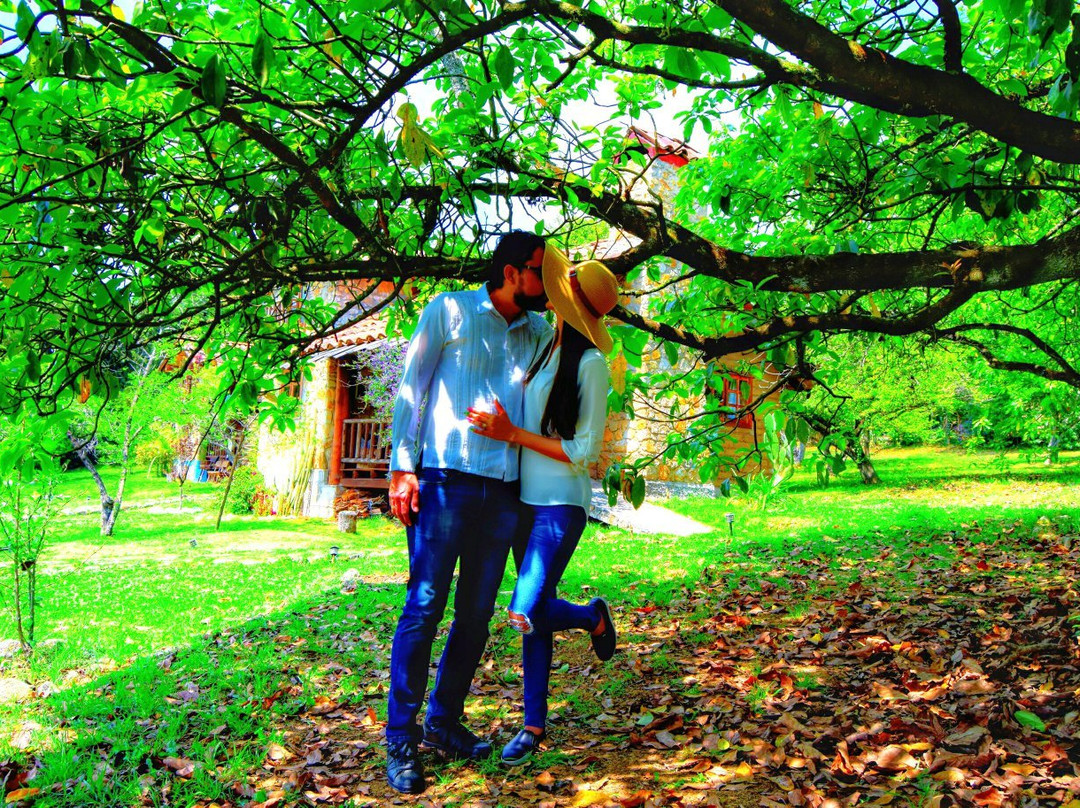 La Tierra Grande主图