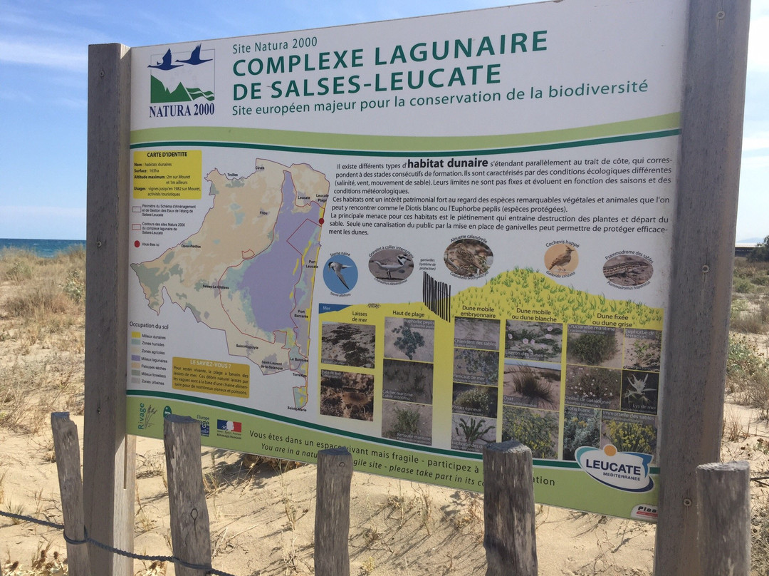 Cercle de Voile du Cap Leucate-Leucate必去景点