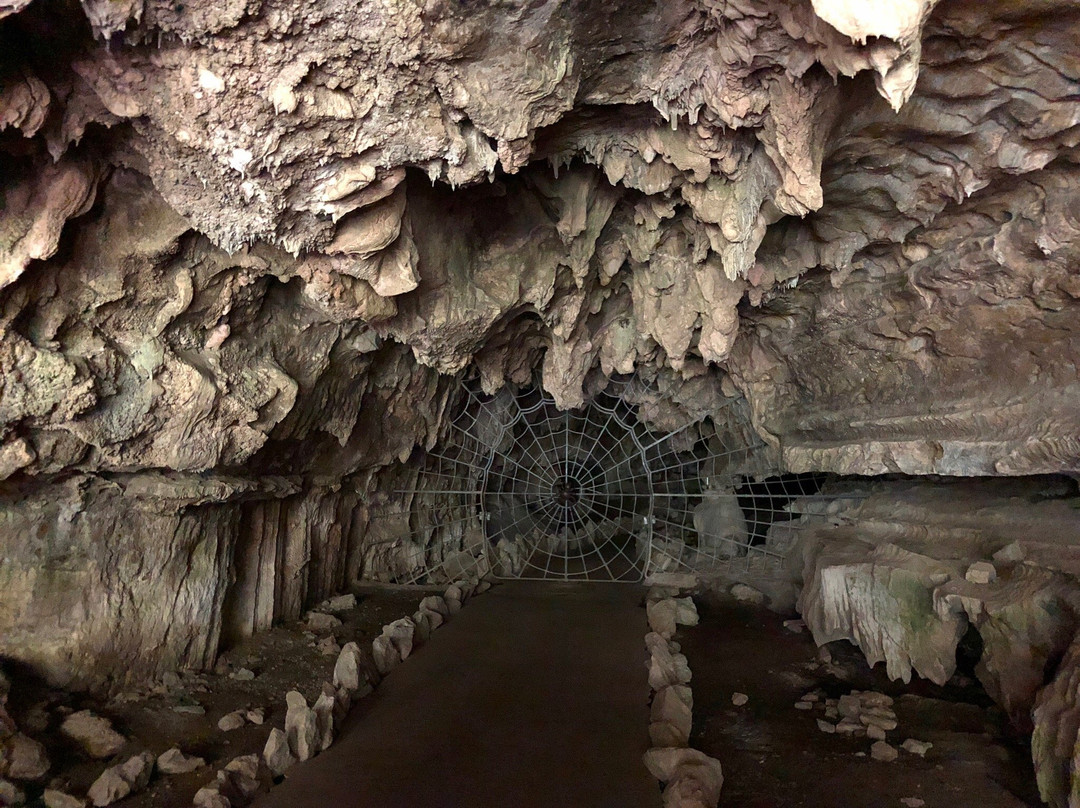 Crystal Cave-红杉&国王峡谷国家公园必去景点