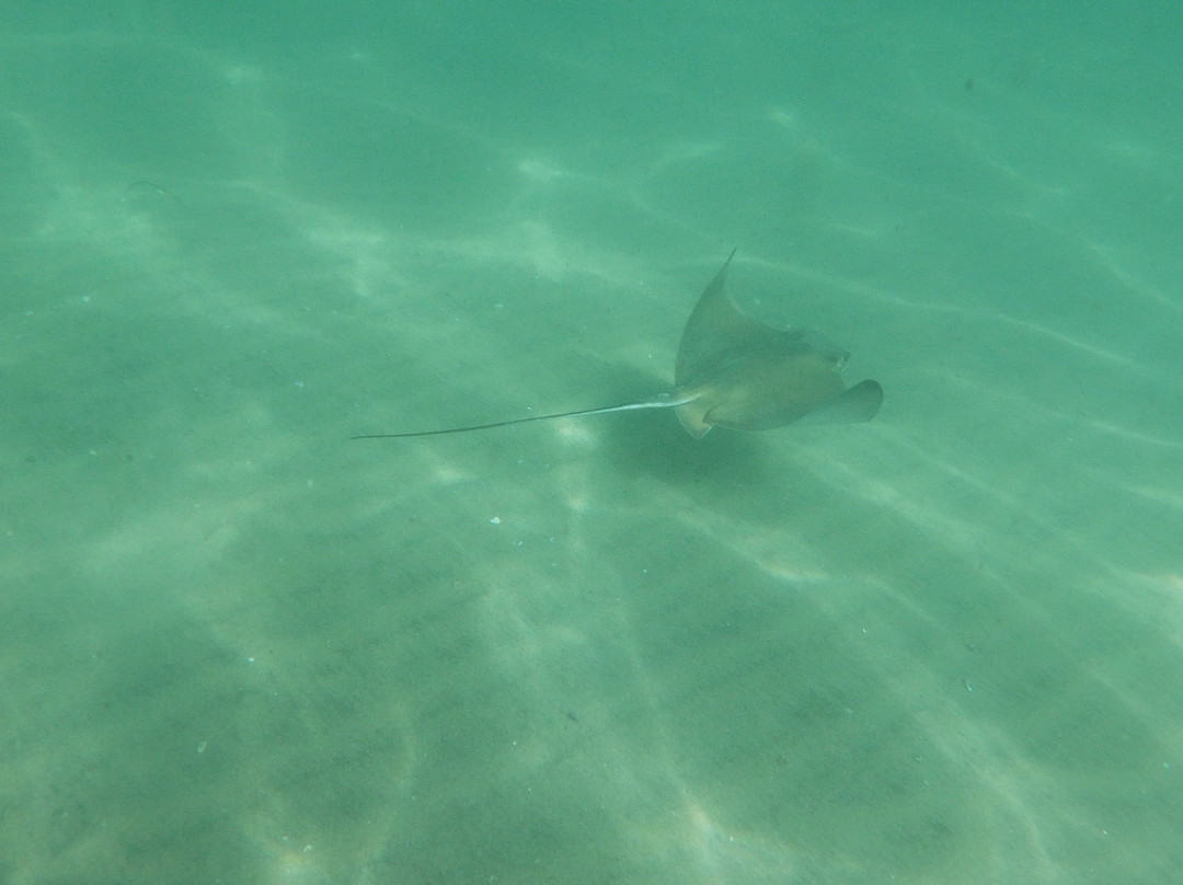 SD Expeditions-拉荷亚必去景点