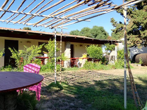 Agriturismo S'Anea主图