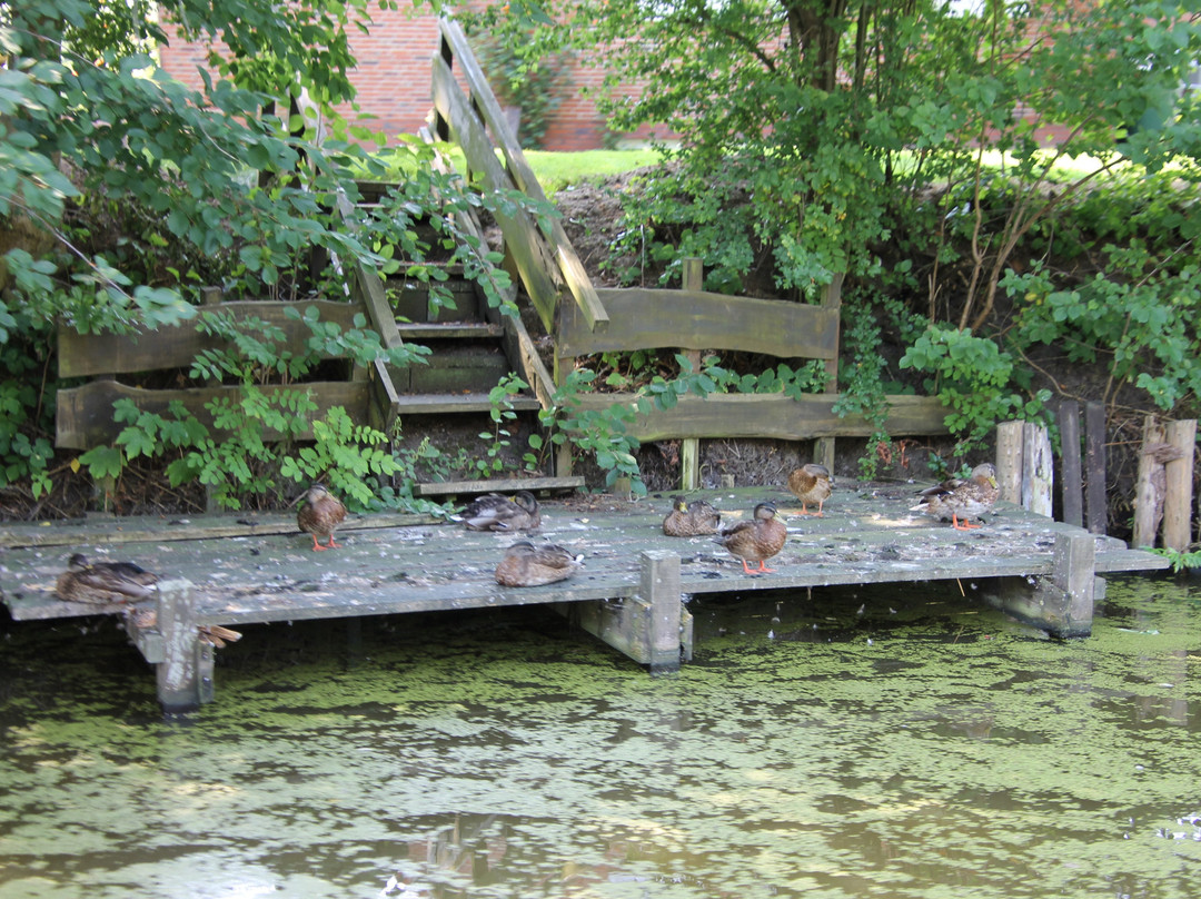 Kanalrundfahrten - Abenteuer am Wasser-Krummhoern必去景点